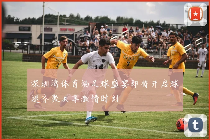 深圳湾体育场足球盛宴即将开启球迷齐聚共享激情时刻