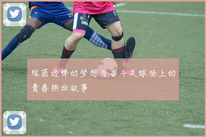 绿茵边锋的梦想与奋斗足球场上的青春热血故事