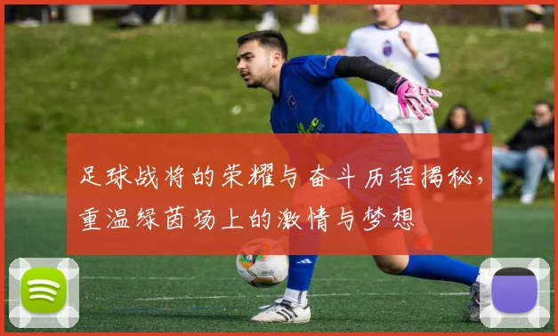 足球战将的荣耀与奋斗历程揭秘，重温绿茵场上的激情与梦想
